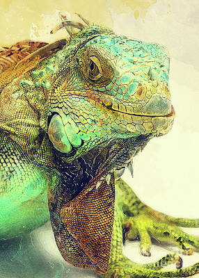 Iguana animals art #iguana by Justyna Jaszke JBJart Iguana animals art #iguana by Justyna Jaszke JBJart