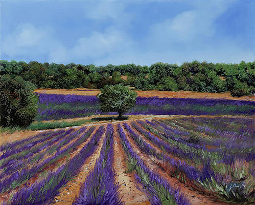 Wall Art - Painting - Il Bosco Dietro La Lavanda by Guido Borelli