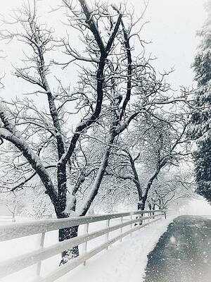 I'll Be Home for Christmas by Steph Gabler I'll Be Home for Christmas by Steph Gabler