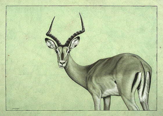 Wall Art - Painting - Impala by James W Johnson