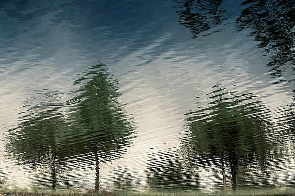 Impressionist Blue by Enrique Pelaez Impressionist Blue by Enrique Pelaez