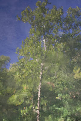 Impressionist Flint by Dylan Punke Impressionist Flint by Dylan Punke