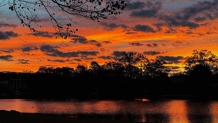 Wall Art - Photograph - In The Quiet Of The Morning by Denise Harty