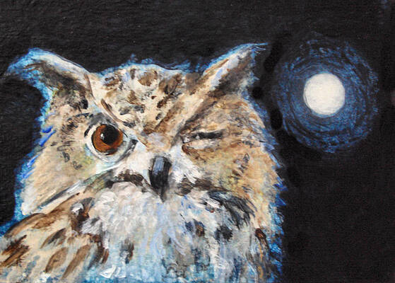 In the Wink of an Owl by DIANE URSIN In the Wink of an Owl by DIANE URSIN