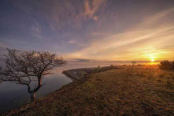 Incredible Oeland by Ludwig Riml Incredible Oeland by Ludwig Riml