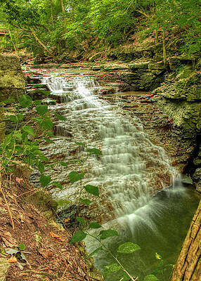 Indian Run Waterfall Cascade by Ron Grafe Indian Run Waterfall Cascade by Ron Grafe