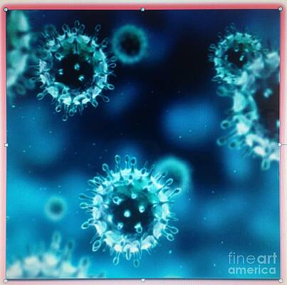 Influenza virus  by Ricardo Richard W Linford
