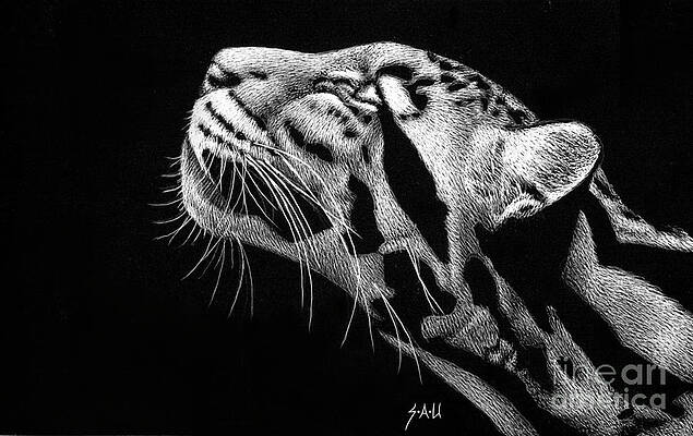 Intensely Focused by Sheryl Unwin Intensely Focused by Sheryl Unwin