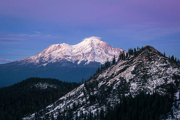 Into the Blue Mt. Shasta by Gary Geddes Into the Blue Mt. Shasta by Gary Geddes