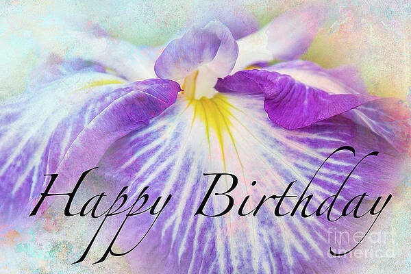 Iris Birthday by Marilyn Cornwell Iris Birthday by Marilyn Cornwell