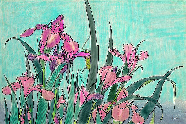 Irises by Dominique Amendola Irises by Dominique Amendola
