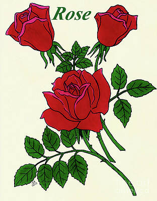 Irish Rose - 3 by D Hackett Irish Rose - 3 by D Hackett