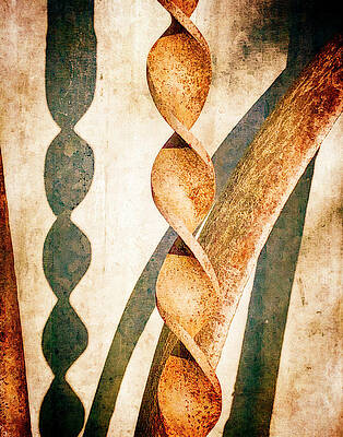 Iron and Tin by Sandra Selle Rodriguez Iron and Tin by Sandra Selle Rodriguez