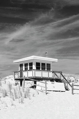 Island Beach State Park in Black and White by John Van Decker