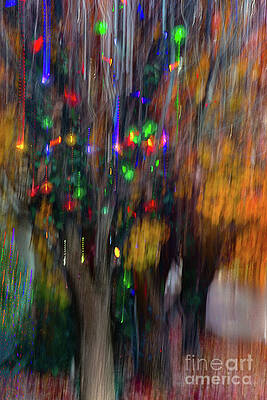 Abstract Photograph - It's Beginning To Look A Lot Like by Susan Warren