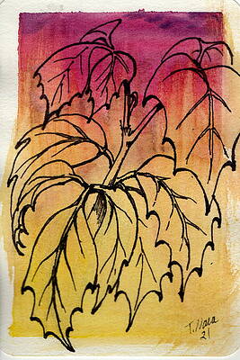Wall Art - Painting - Ivy Contours by Tammy Nara