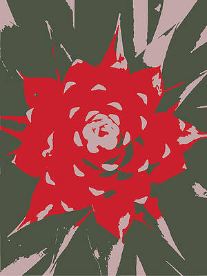 Jagged by Jocelyn Wang Jagged by Jocelyn Wang