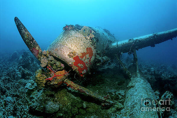 Jake - The Seaplane by Norbert Probst Jake - The Seaplane by Norbert Probst