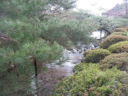 Japanese Pagoda in Trees by Susan Grunin Japanese Pagoda in Trees by Susan Grunin