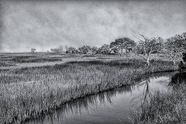 Wall Art - Photograph - Jekyll Island Marsh by Tom Singleton