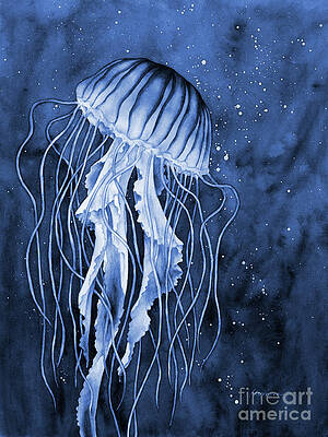Jelly Fish Paintings for Sale - Fine Art America