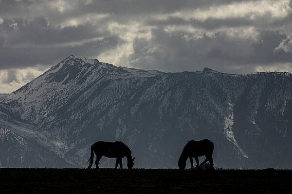 JT__3738 by John T Humphrey JT__3738 by John T Humphrey