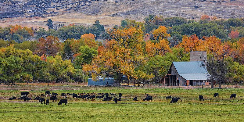 Just A Pretty Country Landscape by James BO Insogna Just A Pretty Country Landscape by James BO Insogna