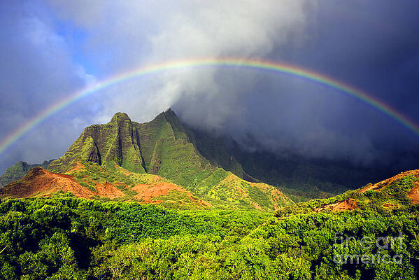 Comparación colorante Sip Hawaii Rainbows Photos for Sale | Fine Art America
