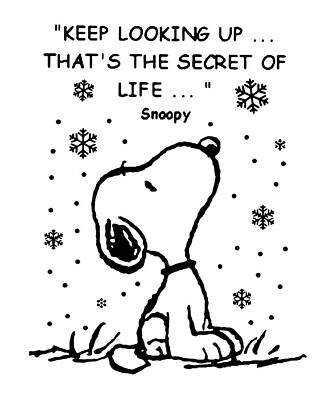 Snoopy Wall Art Page 13 Of 35 Fine Art America Snoopy Wall Art Page 13 Of 35 Fine Art America