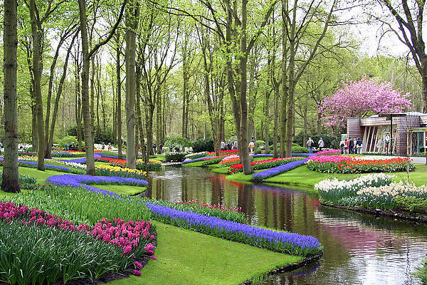 Keukenhof Gardens by Ian Williams