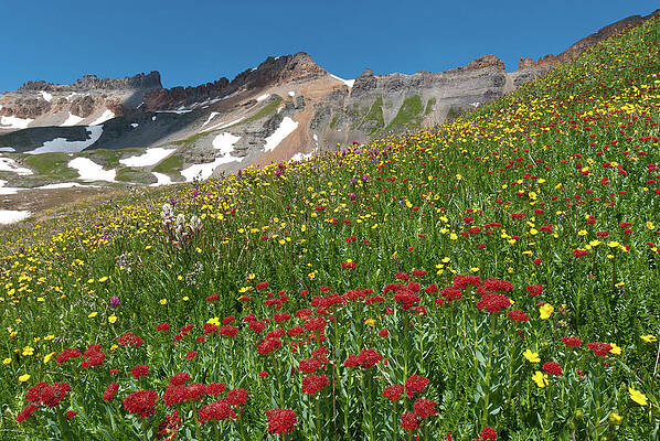 Wall Art - Photograph - King's Crown Summer Landscape by Cascade Colors