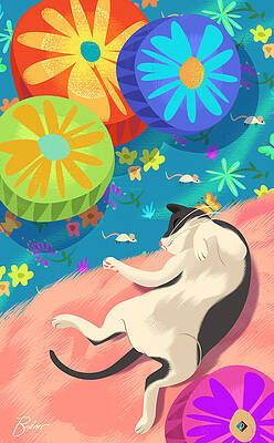 Kitty Dreams by Alan Bodner Kitty Dreams by Alan Bodner