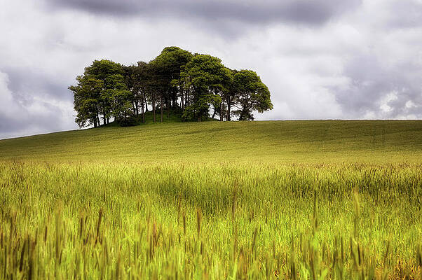 Knowehead Cairn - Coupar Angus - Scotland by Jason Politte Knowehead Cairn - Coupar Angus - Scotland by Jason Politte
