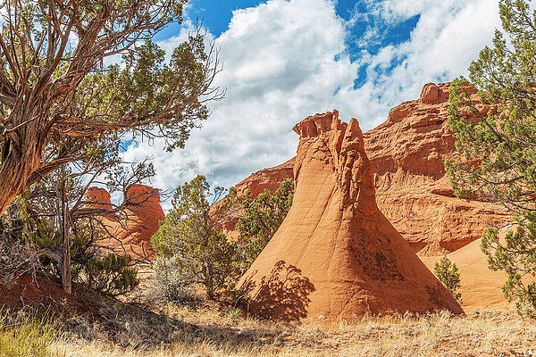 Wall Art - Photograph - Kodachrome Basin Secret Passage Loop by Michael DeGrenier