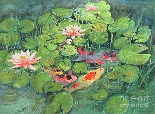 Koi Watercolor Painting by Sarah DuBree - Fine Art America