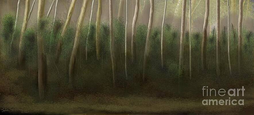 Koo Wee Look at those Tree's by Julie Grimshaw Koo Wee Look at those Tree's by Julie Grimshaw