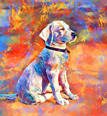 Labrador 12 by Chris Butler Labrador 12 by Chris Butler