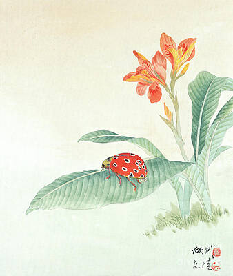 Insects Wall Art featuring the painting Lady Beetle by Yan Bingwu and Yang Wenqing