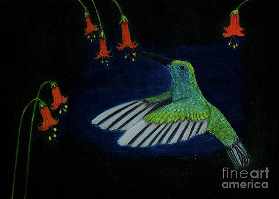 Lady Hummingbird by Dorothy Lee Lady Hummingbird by Dorothy Lee