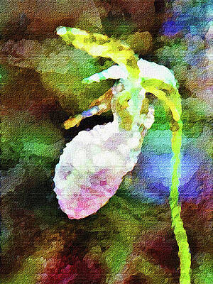 Lady Slipper - Botanical by Marie Jamieson Lady Slipper - Botanical by Marie Jamieson