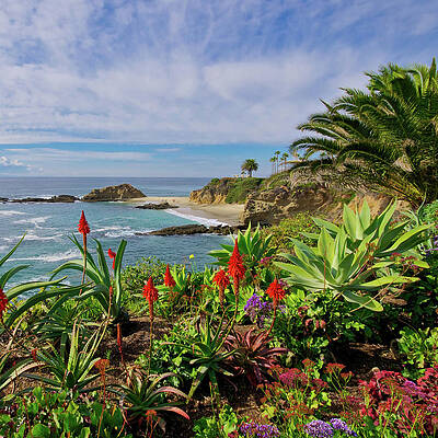 Wall Art - Photograph - Laguna Beach Vista by Matthew DeGrushe