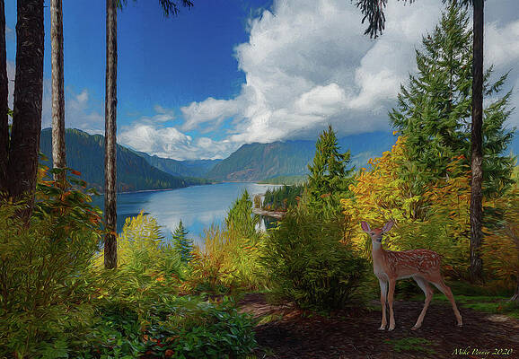 Lake Cushman 10-20-001 by Mike Penney Lake Cushman 10-20-001 by Mike Penney