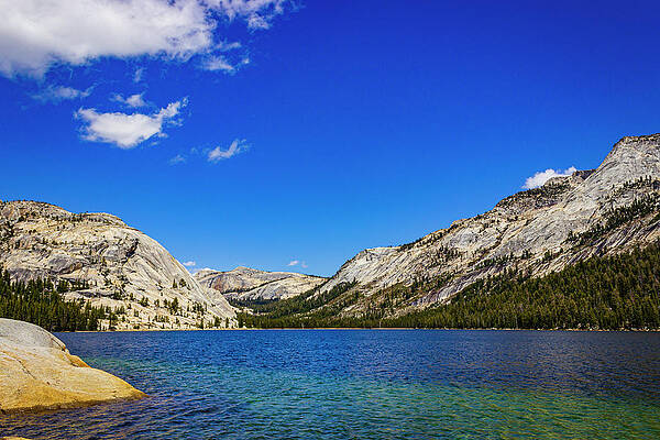 Green Photograph - Lake Scene by David Fountain