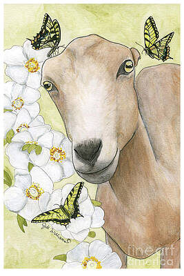  Mixed Media - Lamancha in the Cherokee Roses by Jill Williams