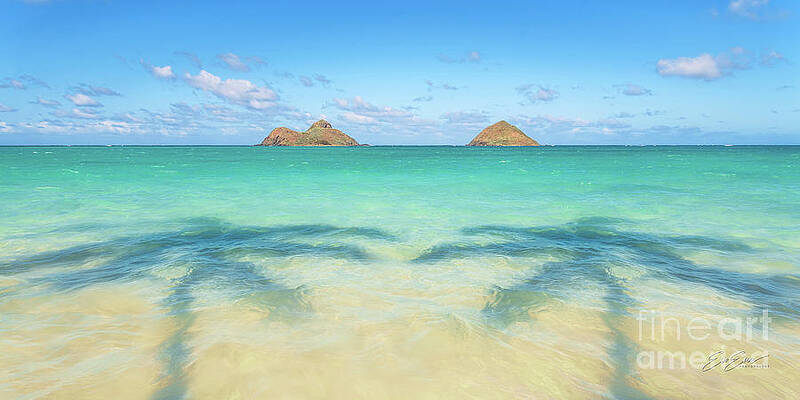 Wall Art - Photograph - Lanikai Beach Palm Tree Shadows Wide 2 to 1 Ratio by Aloha Art