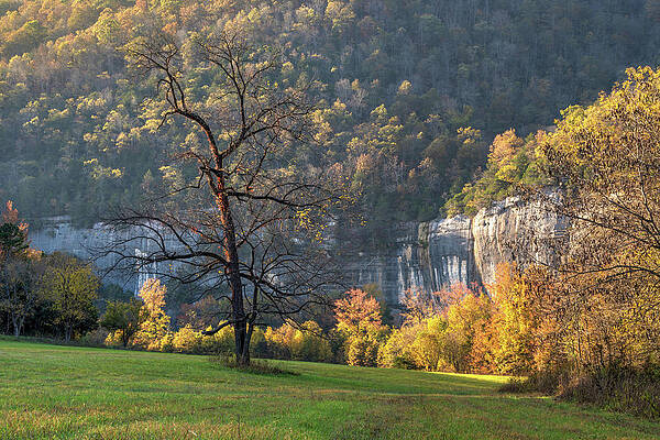 Autumn Light At Roark Bluff by Gregory Ballos Autumn Light At Roark Bluff by Gregory Ballos