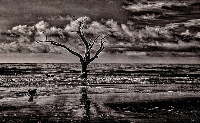 Last Man Standing by Jim Cook Last Man Standing by Jim Cook