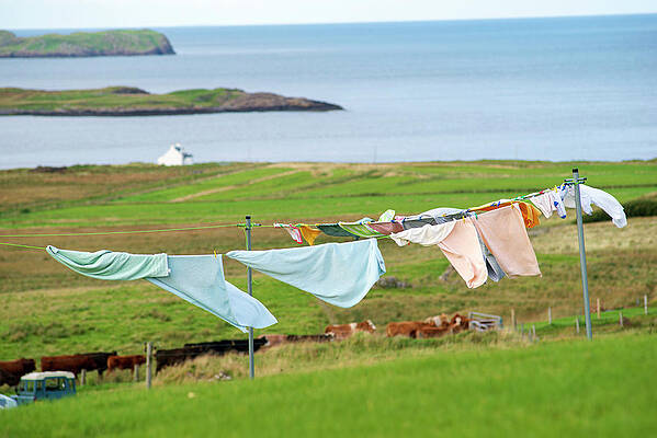 Laundry in the yard, Isle of Skye, UK by Dubi Roman Laundry in the yard, Isle of Skye, UK by Dubi Roman