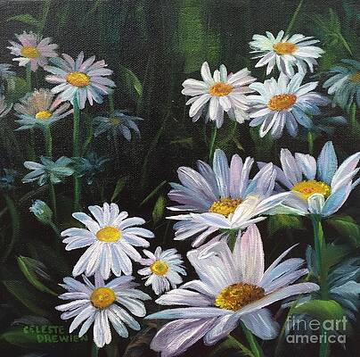 Lazy Daisy by Celeste Drewien Lazy Daisy by Celeste Drewien