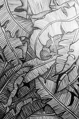 Banana Leaves Drawings Fine Art America Banana Leaves Drawings Fine Art America